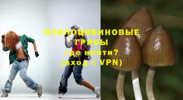 ALPHA PVP Медвежьегорск