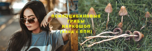 ALPHA PVP Медвежьегорск