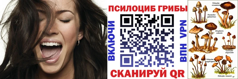 Галлюциногенные грибы MAGIC MUSHROOMS  Воткинск 