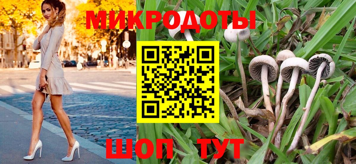 Псилоцибиновые грибы прущие грибы  Воткинск  Галлюциногенные грибы Cubensis 