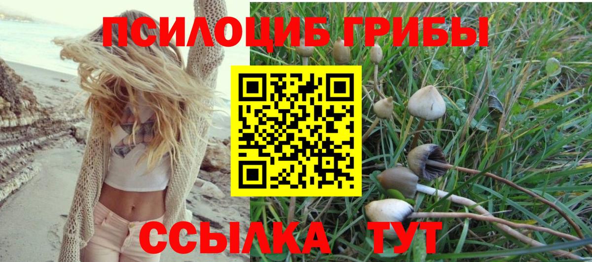Воткинск  Галлюциногенные грибы MAGIC MUSHROOMS  Галлюциногенные грибы Magic Shrooms  Вход с VPN 